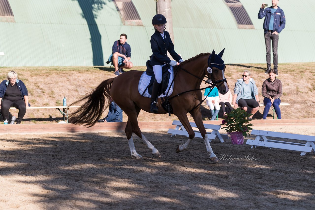 Bild 64 - Pony Akademie Turnier